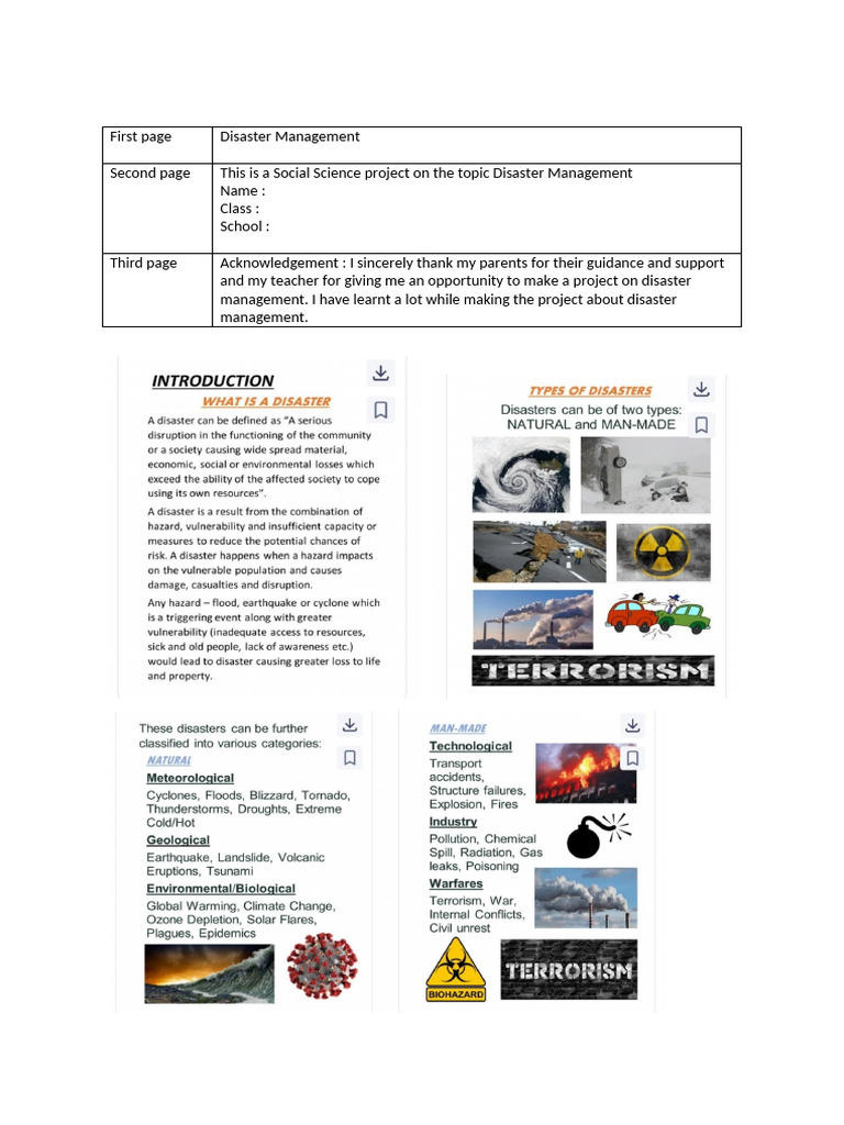 Disaster Management Project Overview | PDF
