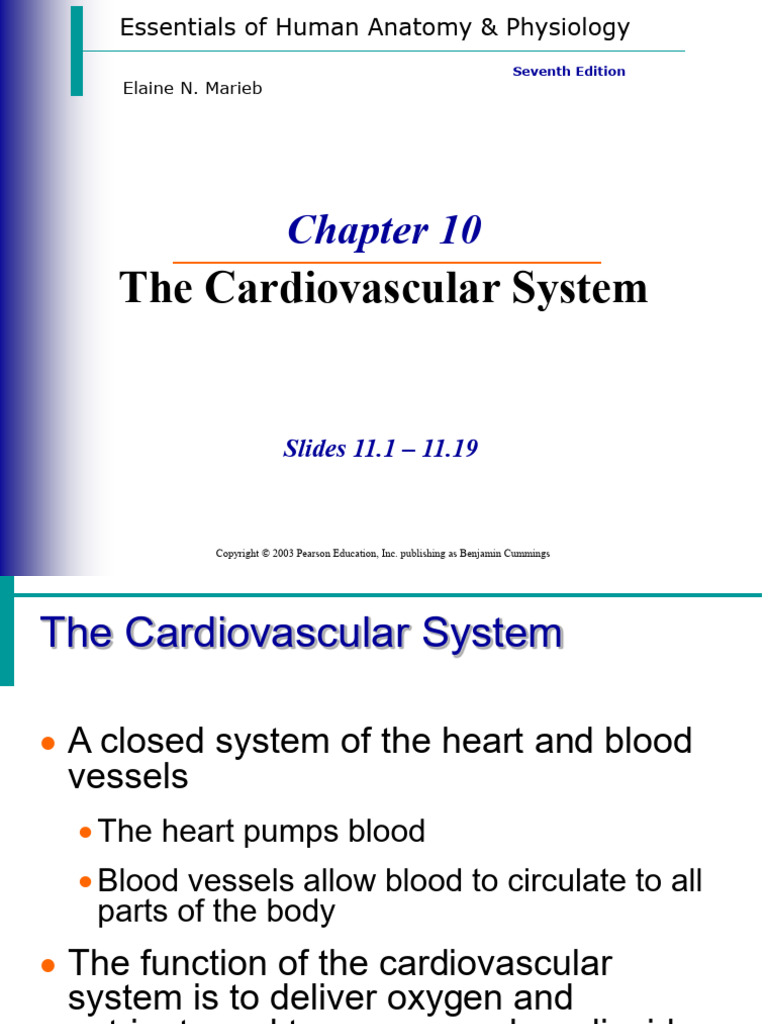 Cardiovascular System Overview | PDF | Heart Valve | Heart