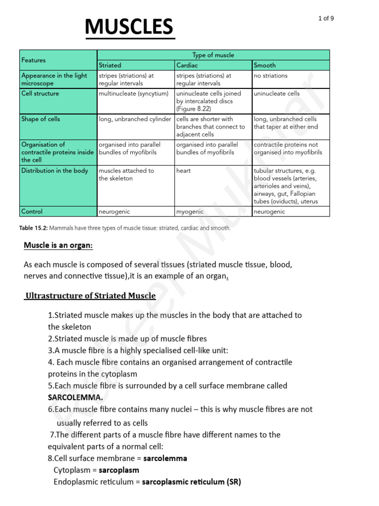 COORDINATION and CONTROL Part 2 PDF | PDF | Muscle Contraction | Muscle
