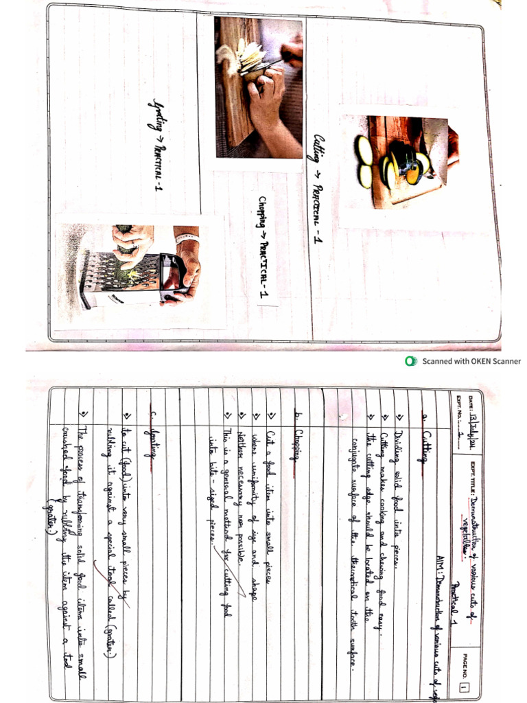 HS Practical | PDF
