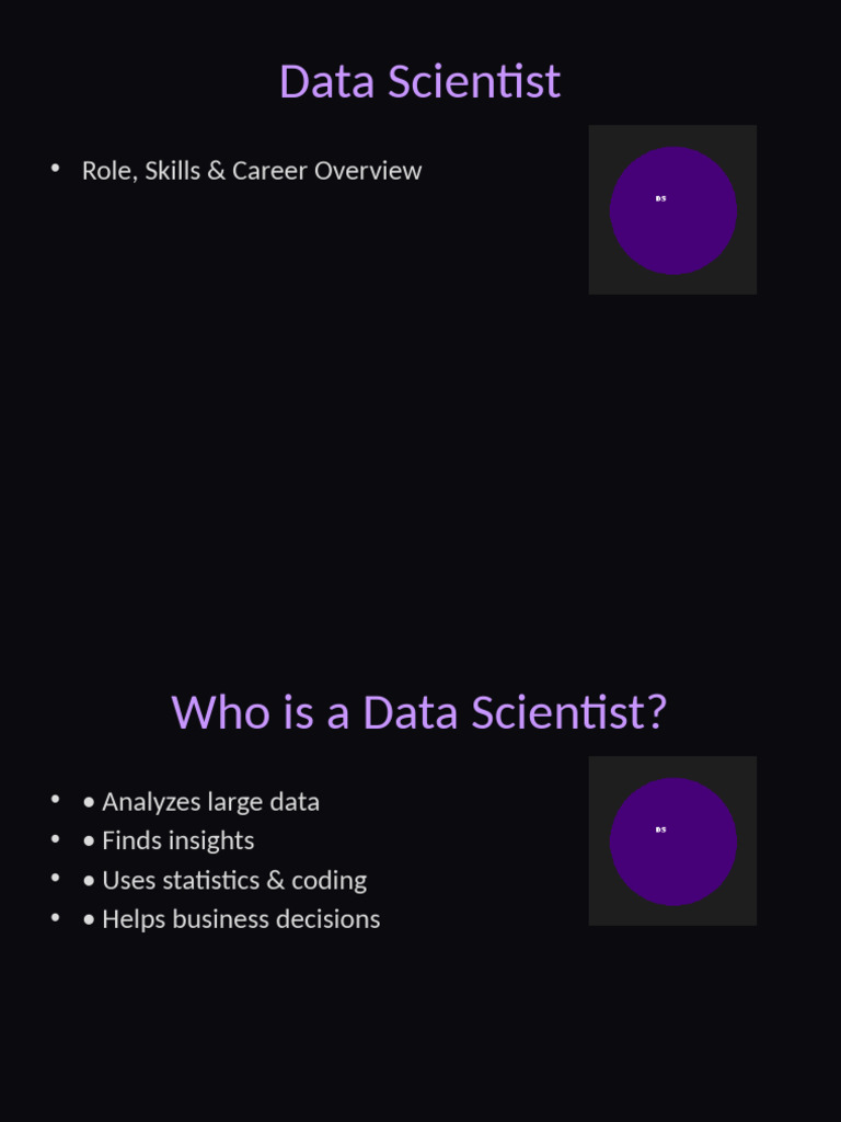 Data Scientist Role & Skills Overview | PDF