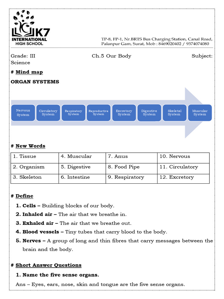 Understanding Human Organ Systems | PDF | Human Body | Digestion