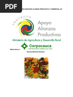 Download Estudio Mercado Aji Picante by Gise Choy SN96450263 doc pdf