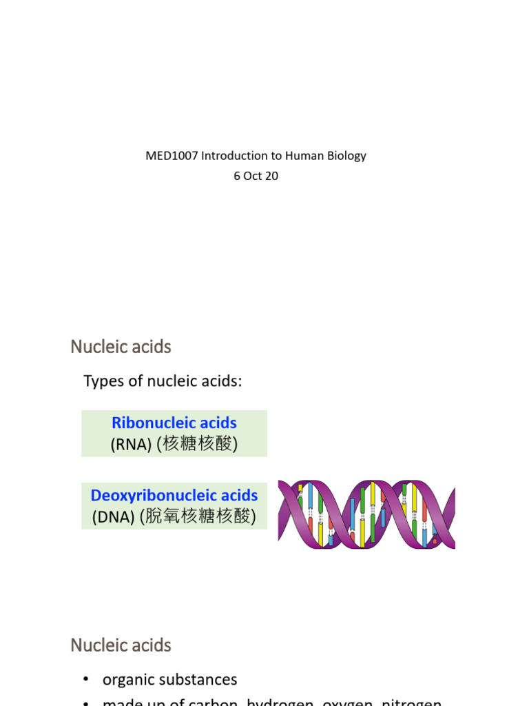 MED1007L3 (Basic Unit of Life The Cell 2) | PDF | Translation (Biology ...