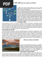 Teoría del Mundo de ARN: Origen de la Vida | PDF | Rna | Biosíntesis