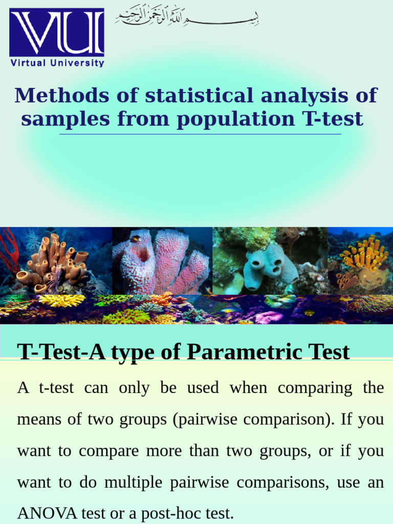 T-Test Methods and Assumptions Explained | PDF | Student's T Test ...