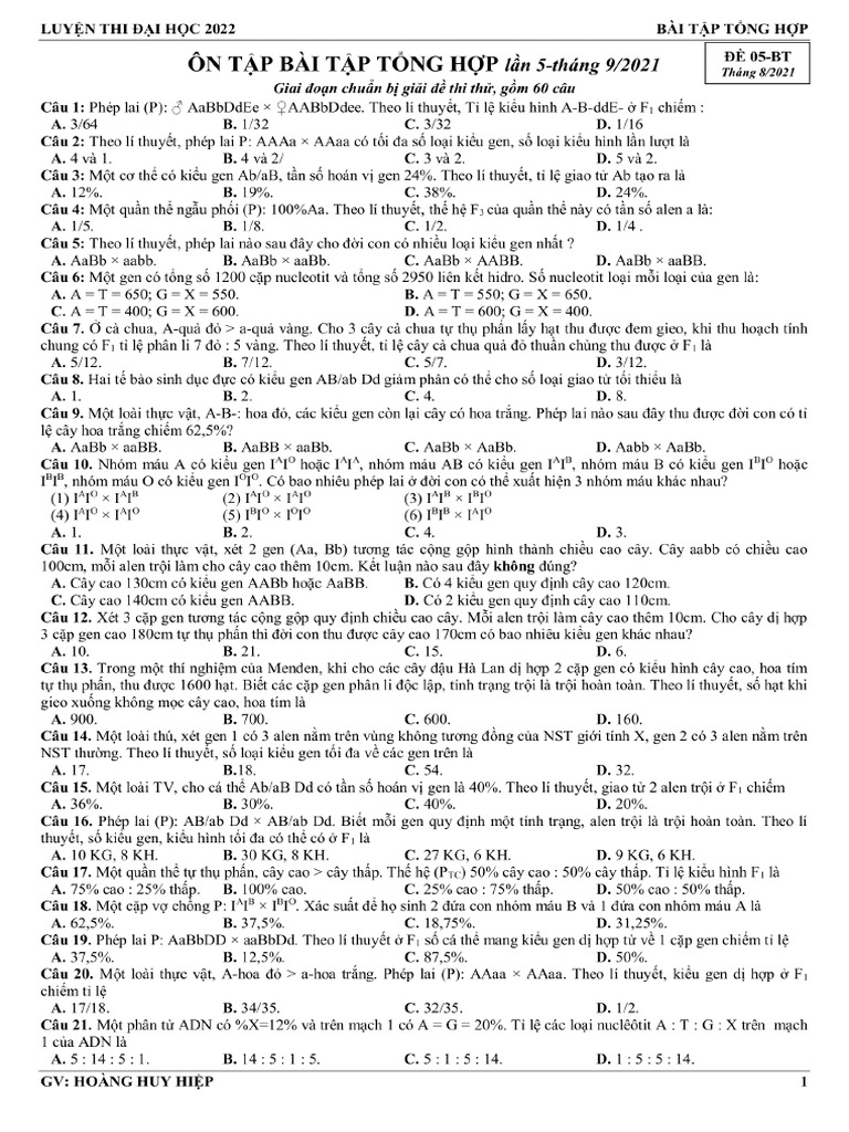 01 Bai Tap Tong Hop Lan 1 2021 | PDF