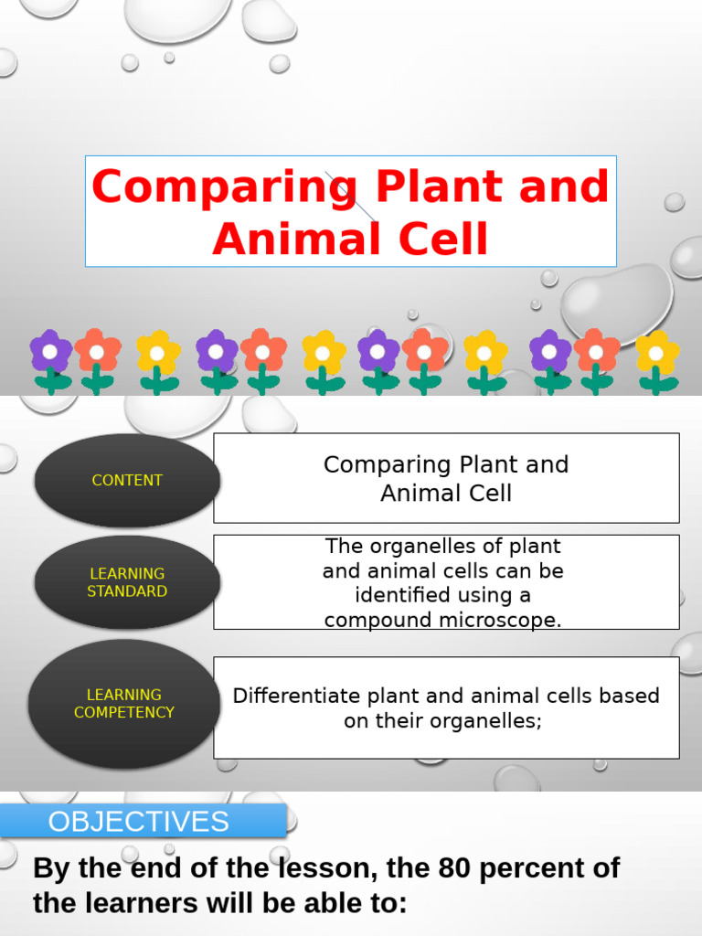 Plant vs. Animal Cell Comparison Guide | PDF | Cell (Biology) | Organelle