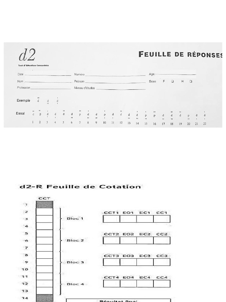 D2R Template | PDF