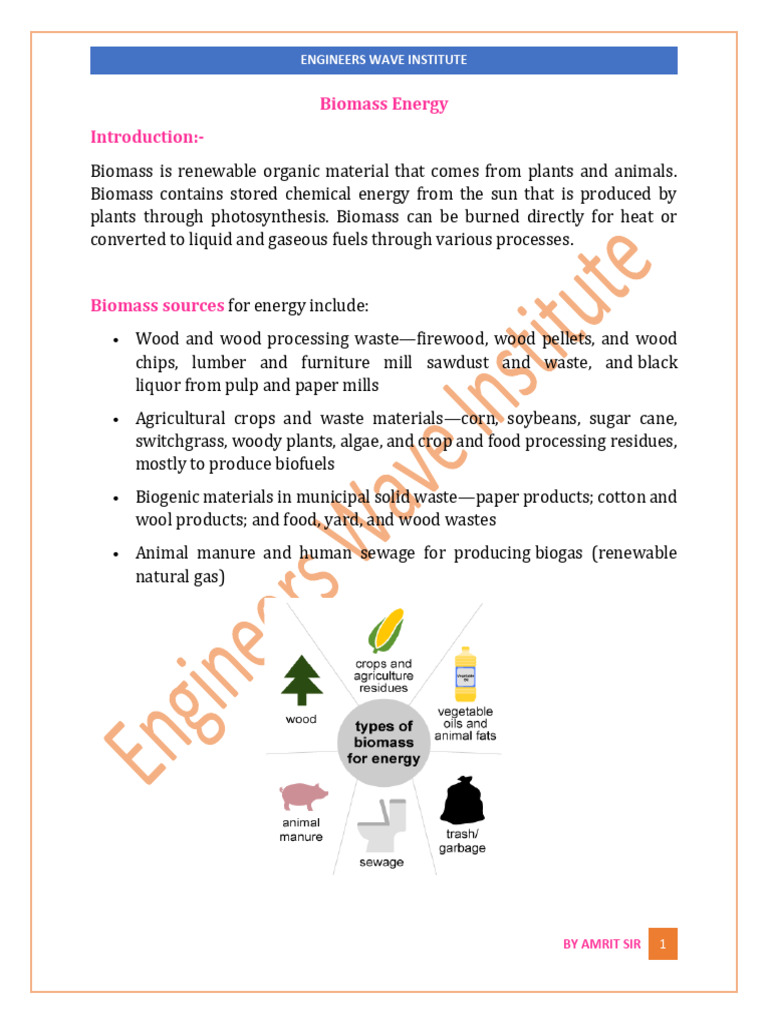 Biomass Energy | PDF | Biofuel | Biodiesel