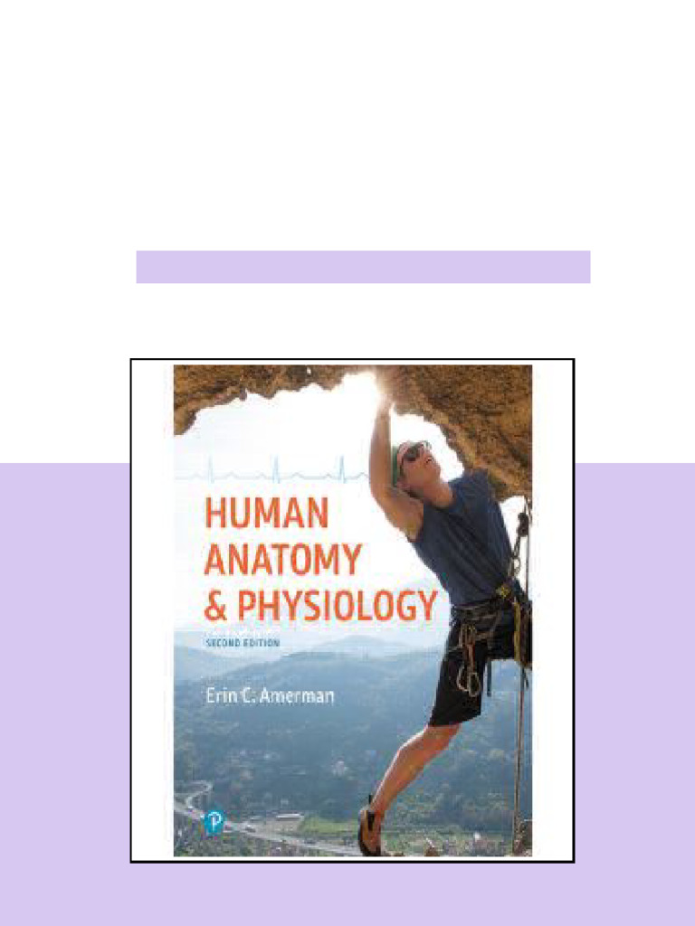 Test Bank for Human Anatomy and Physiology 2nd Edition by Amerman ...