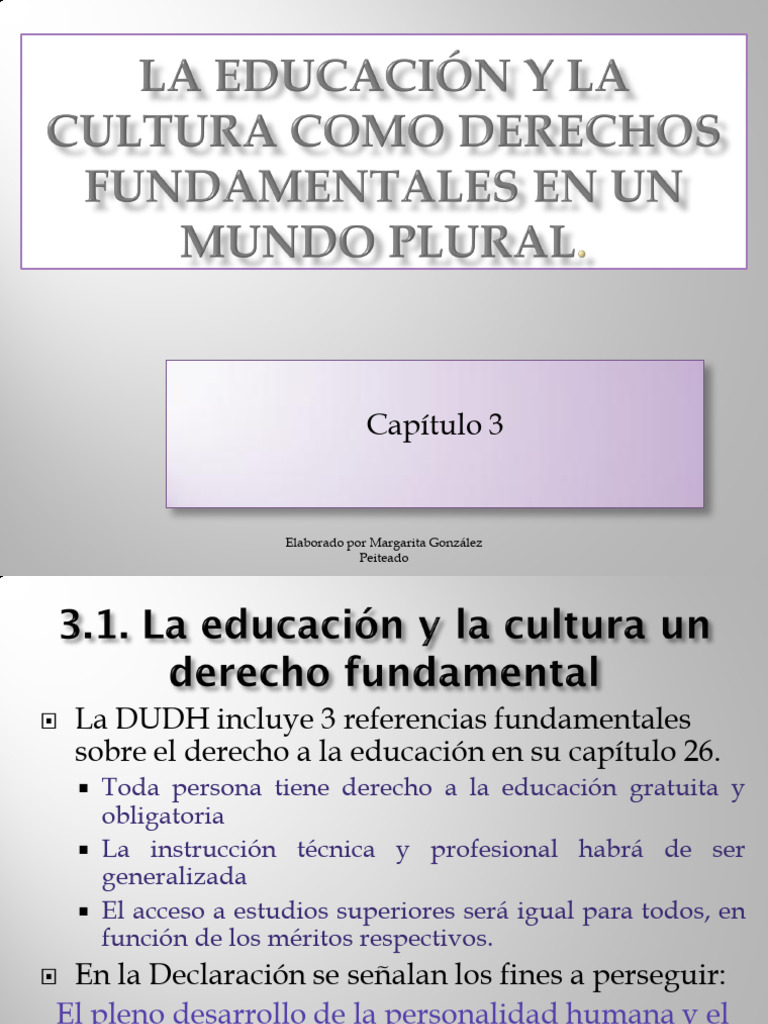 Derecho a la Educación y Cultura | PDF | Derechos humanos | Globalización