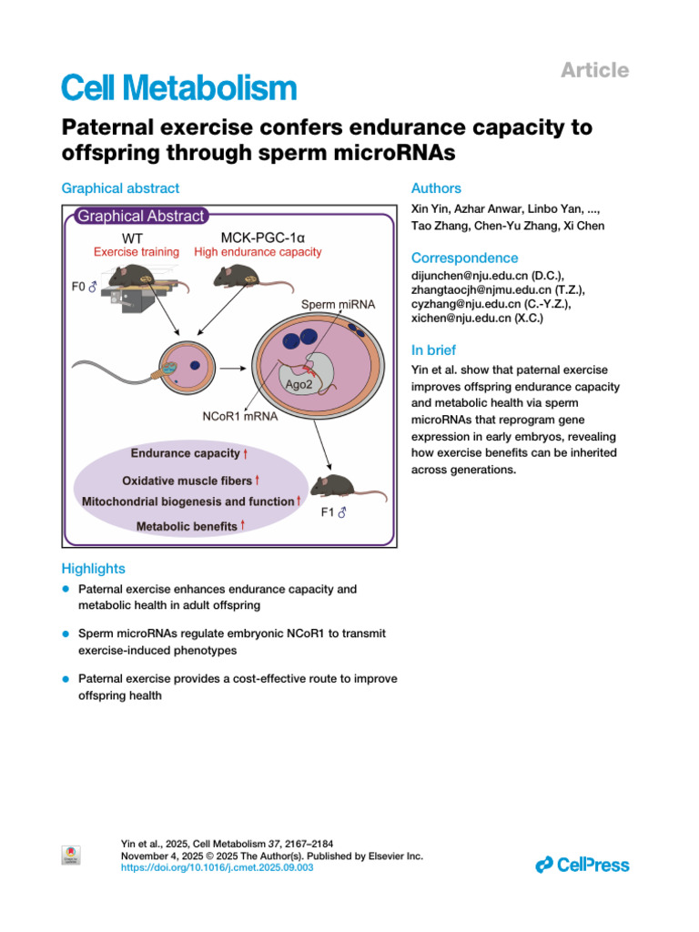 Paternal Exercise Enhances Offspring Endurance | PDF | Epigenetics ...