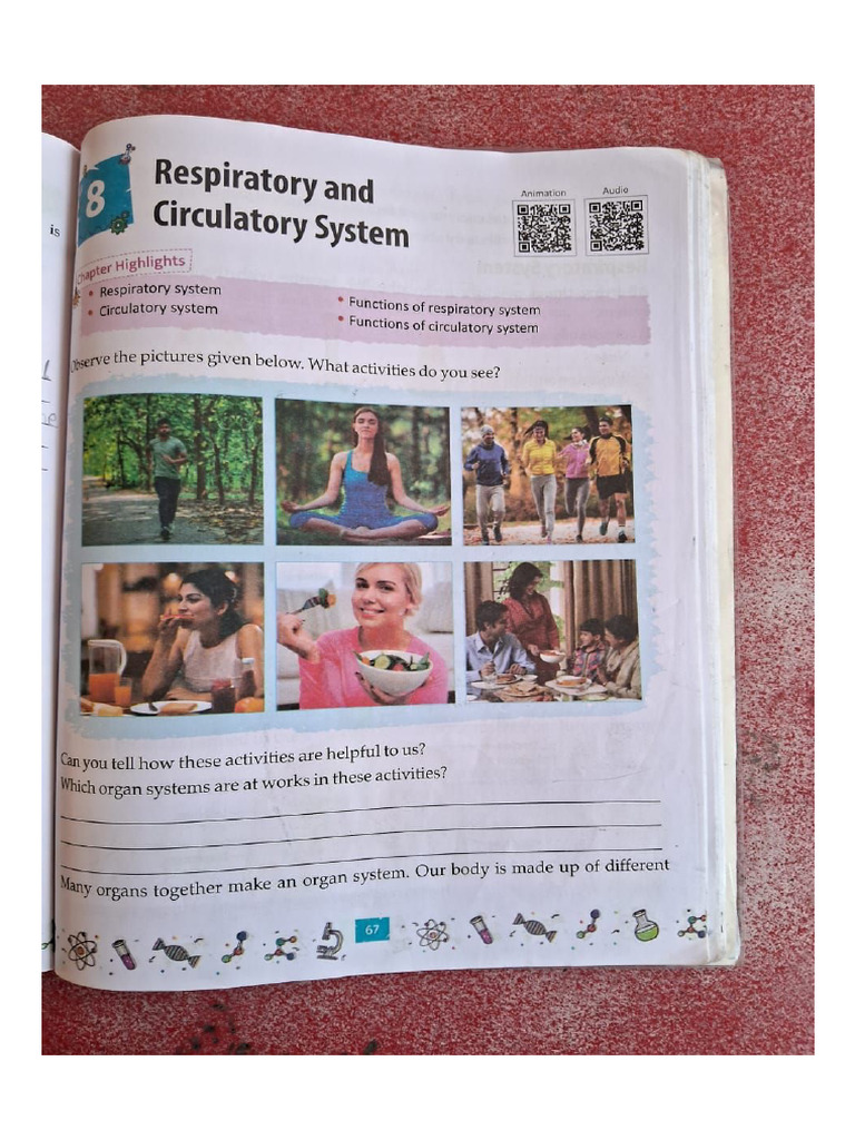 Science Chapter 8 | PDF