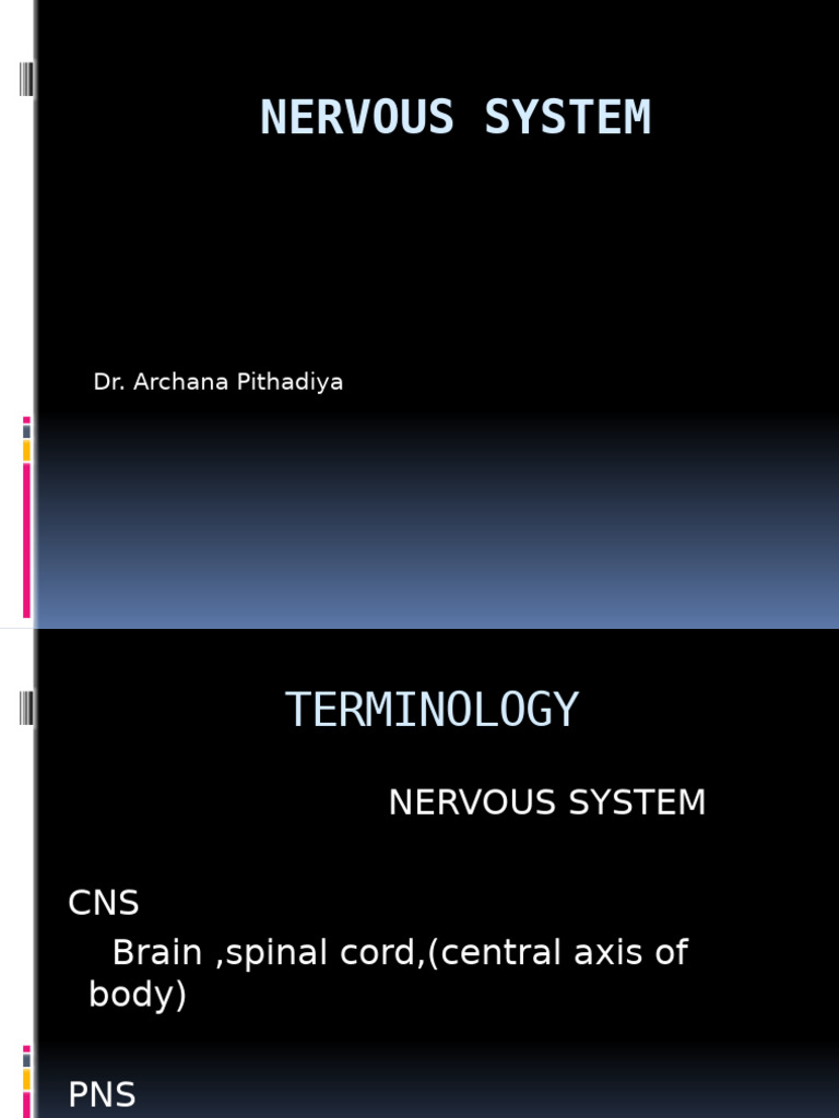 Overview of the Nervous System | PDF | Chemical Synapse | Axon