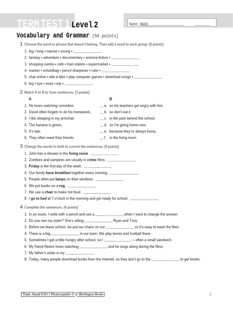 Vocabulary and Grammar Test Level 2 | PDF