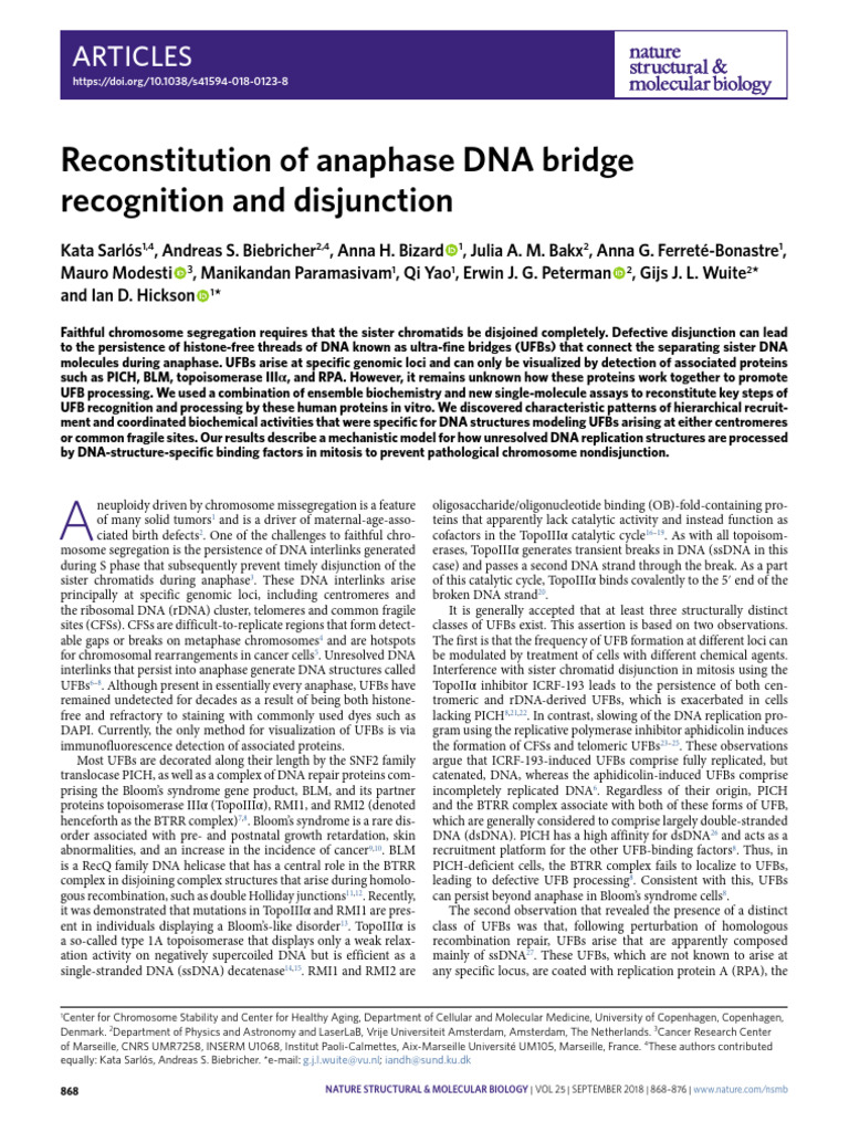 Mechanisms of Ultra-Fine Bridge Processing | PDF | Dna | Nucleic Acids