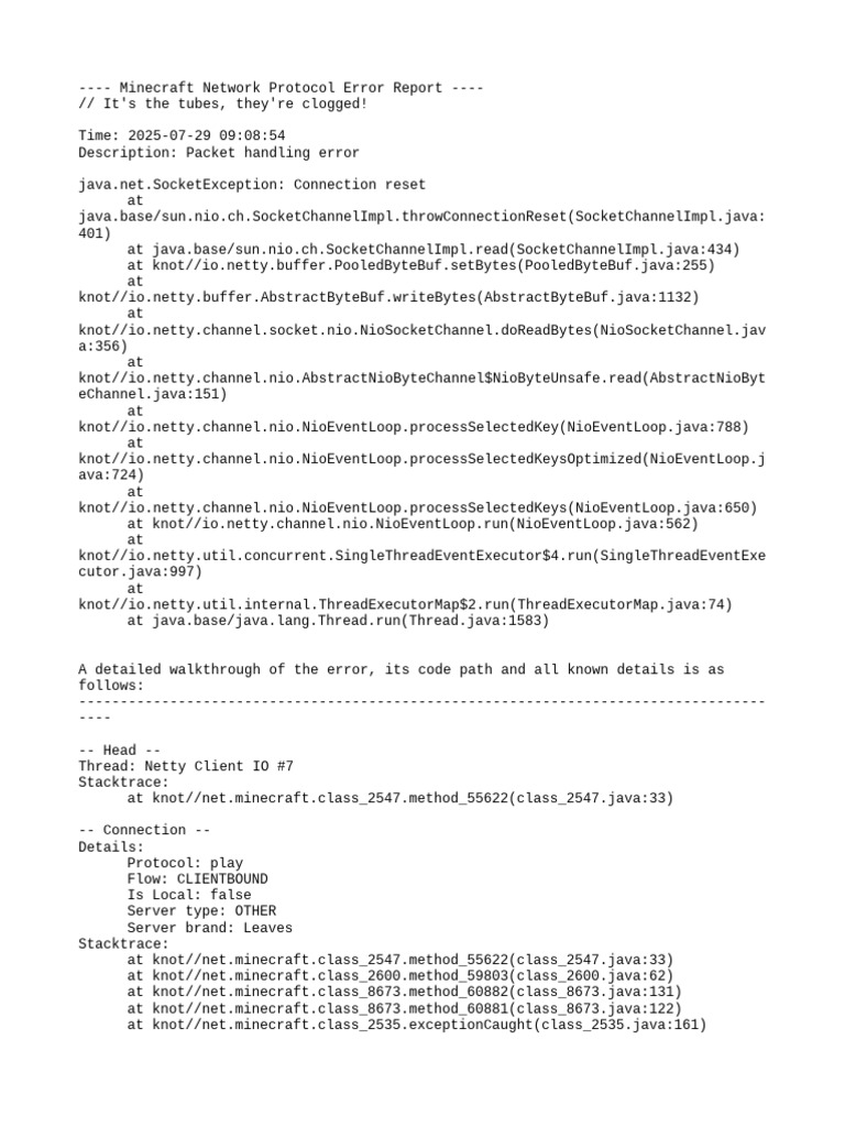 Minecraft Protocol Error Report 2025 | PDF | Java (Programming Language ...