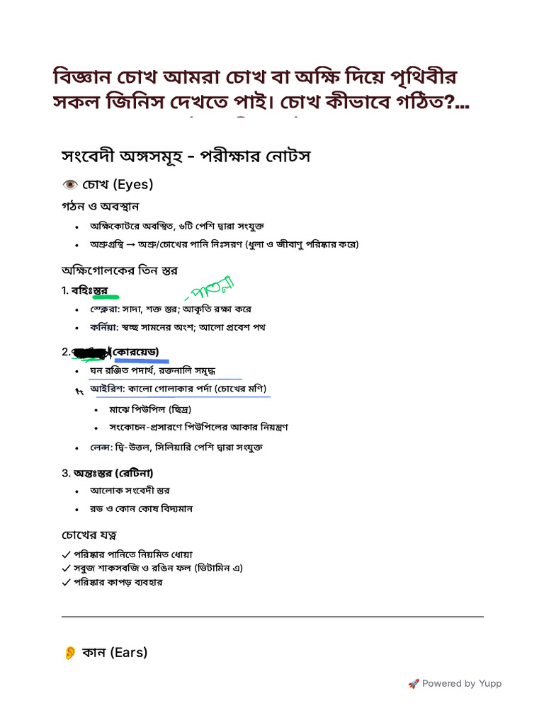 Science Chapter 6 | PDF