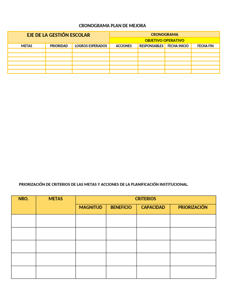 Formato Metas - Acciones Eje Gestión | PDF