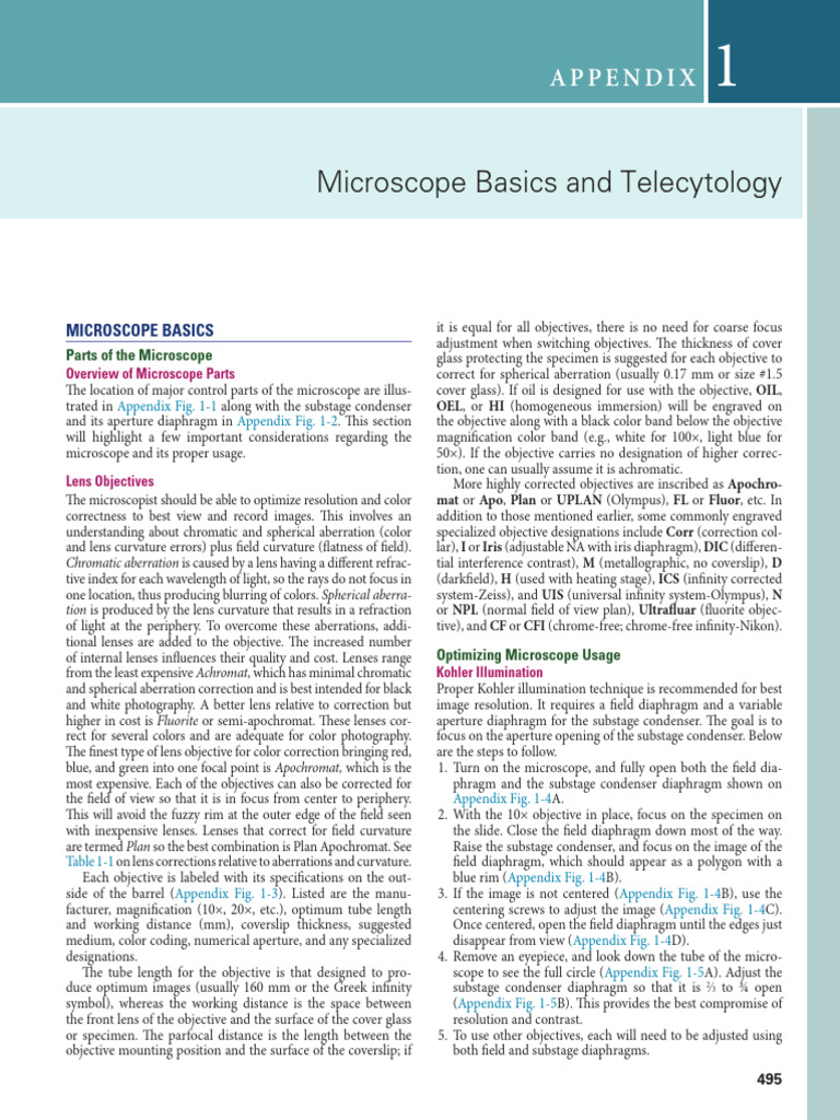 Microscope Parts and Usage Guide | PDF | Microscopy | Imaging