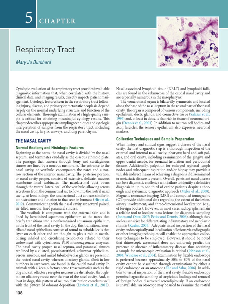 Chapter 5 Respiratory Tract 2016 Canine and Feline Cytology Third ...
