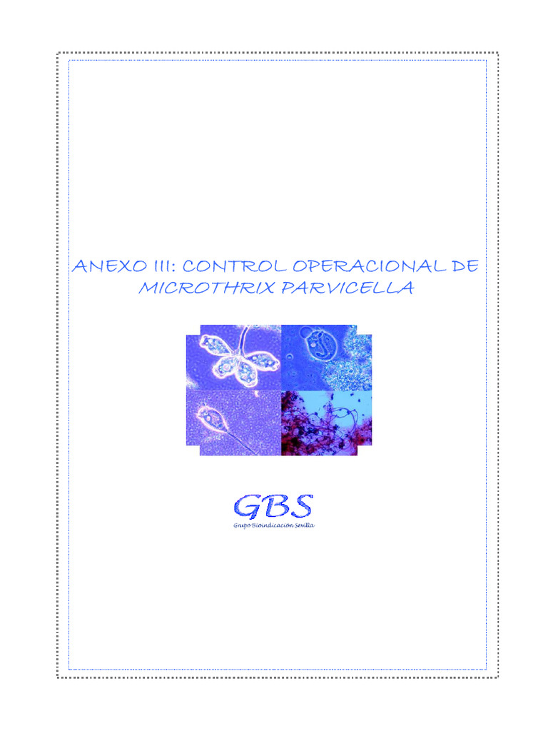 Control de Microthrix parvicella en EDARs | PDF | Lípido | Tratamiento ...