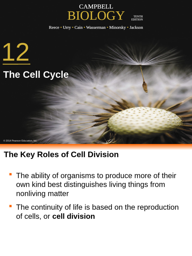 CH 12 - The Cell Cycle | PDF | Mitosis | Chromosome