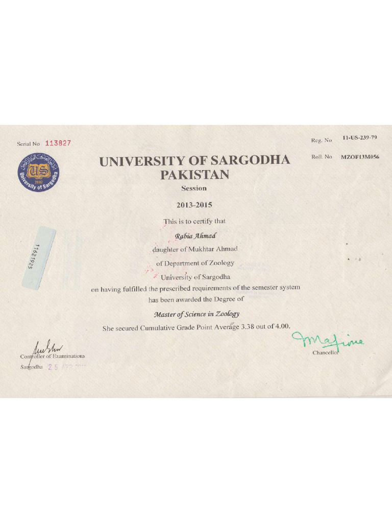 Rabia Education | PDF