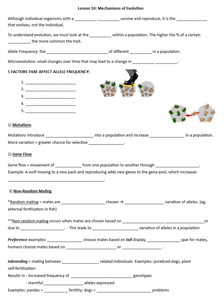Mechanisms of Evolution Explained | PDF | Genetics | Genetic Diversity