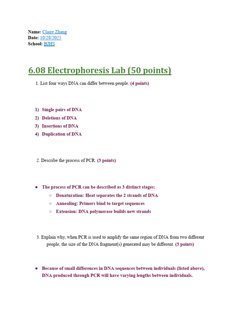 DNA Analysis: PCR & Gel Electrophoresis | PDF | Polymerase Chain ...