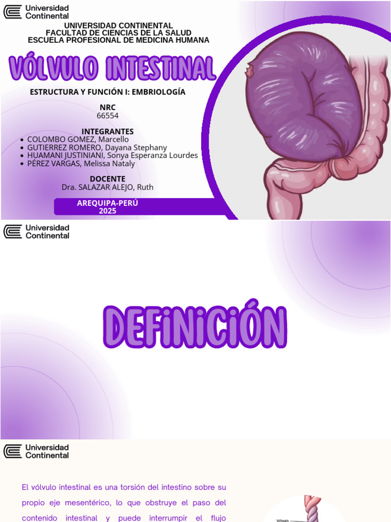 Vólvulo Intestinal: Causas y Tratamiento | PDF | Tracto ...