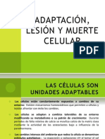 Adaptación, Lesion y Muerte Celular