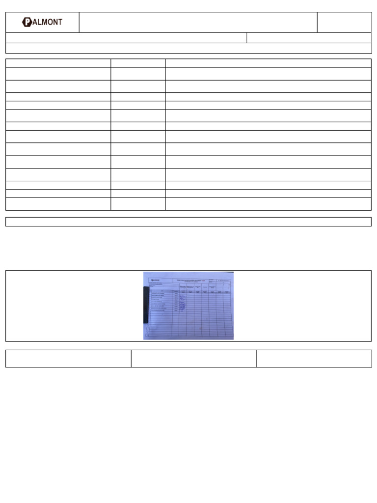 Checklist DDS Obra Raízen Morro Agudo | PDF