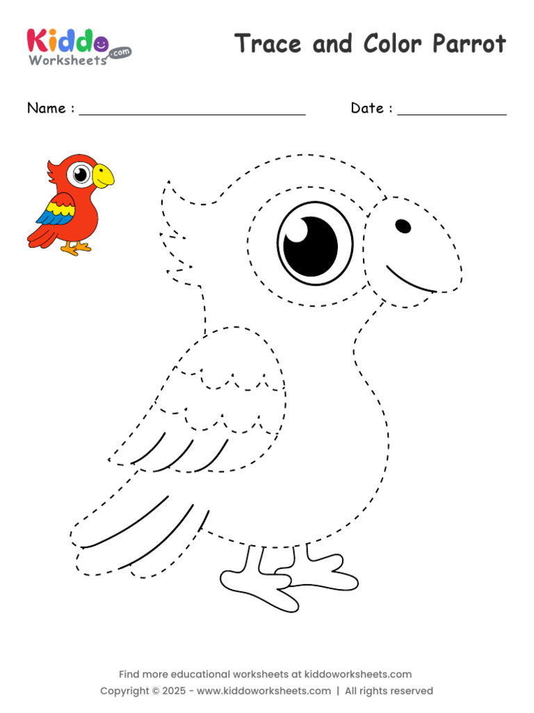 Trace and Color Parrot | PDF