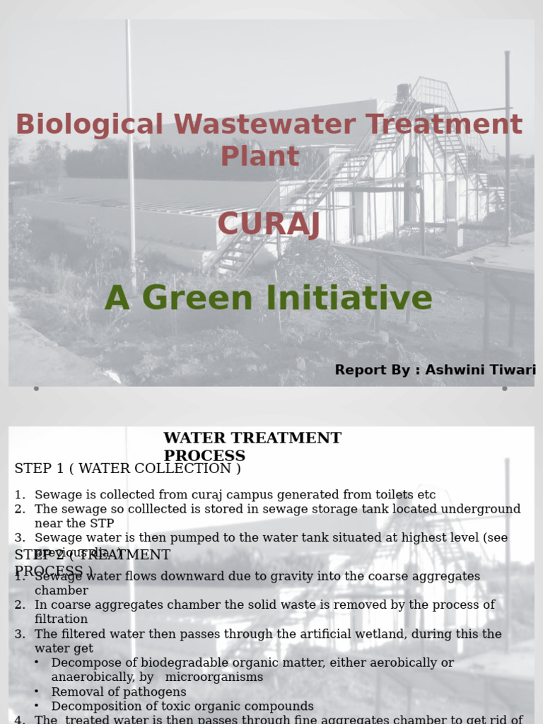 Biological Wastewater Treatment Process | PDF | Sewage Treatment | Water