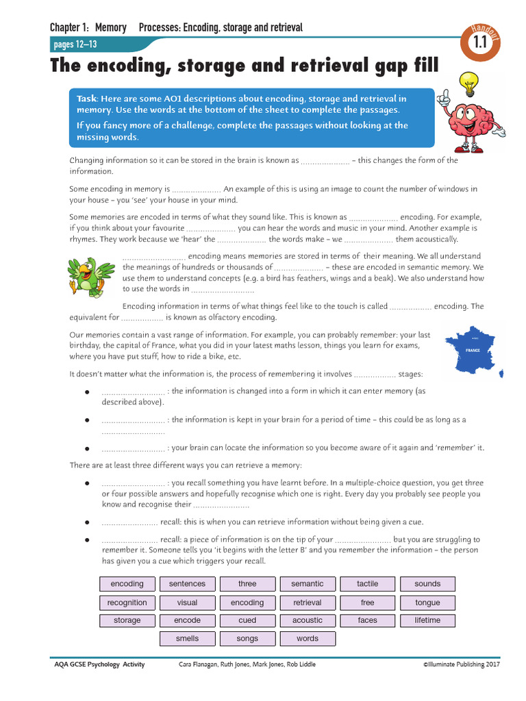 Memory Processes: Encoding & Retrieval | PDF | Memory | Recall (Memory)