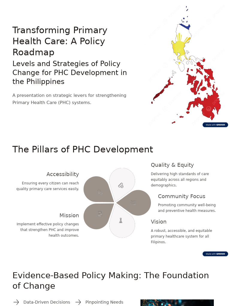 Transforming Primary Health Care A Policy Roadmap | PDF | Policy ...