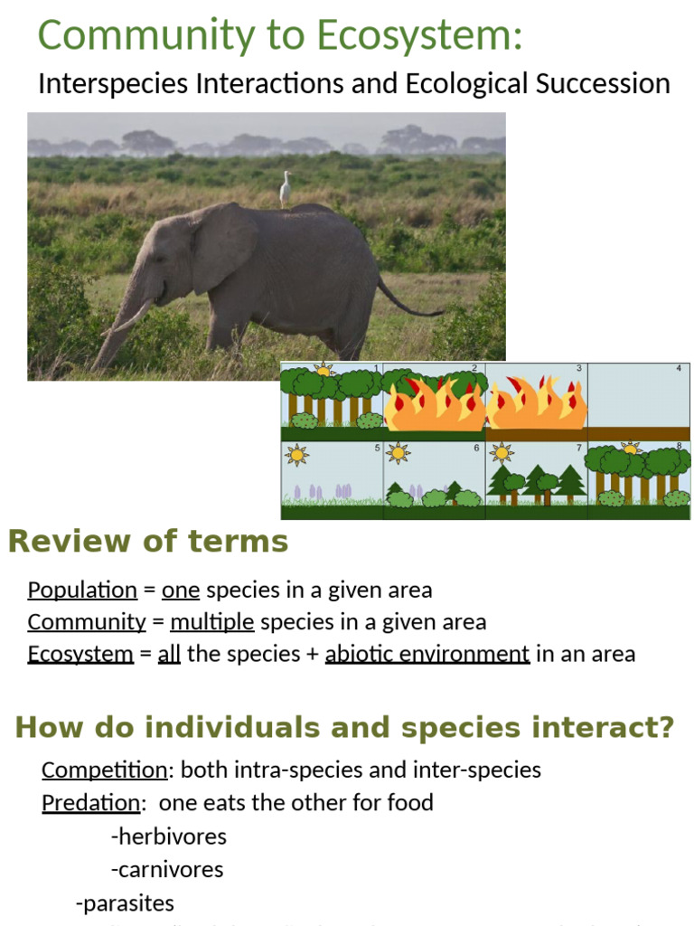 Interspecies Interactions and Succession | PDF | Ecological Niche ...