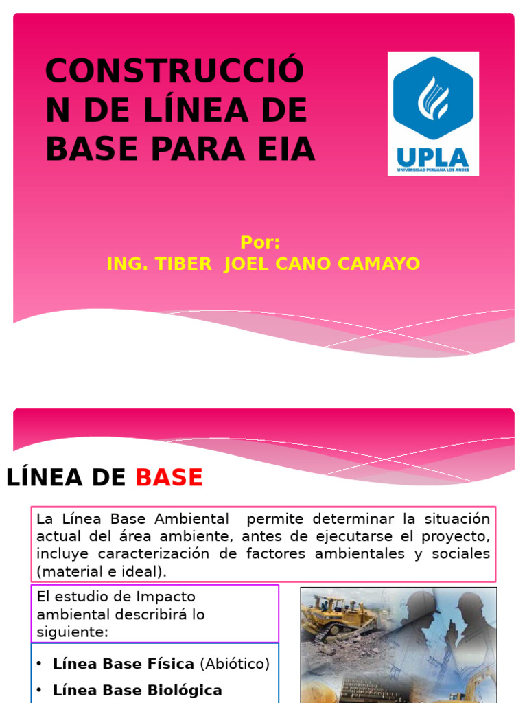 Clase #7, Linea de Base EIA Estudio de Impacto | PDF | Fauna ...
