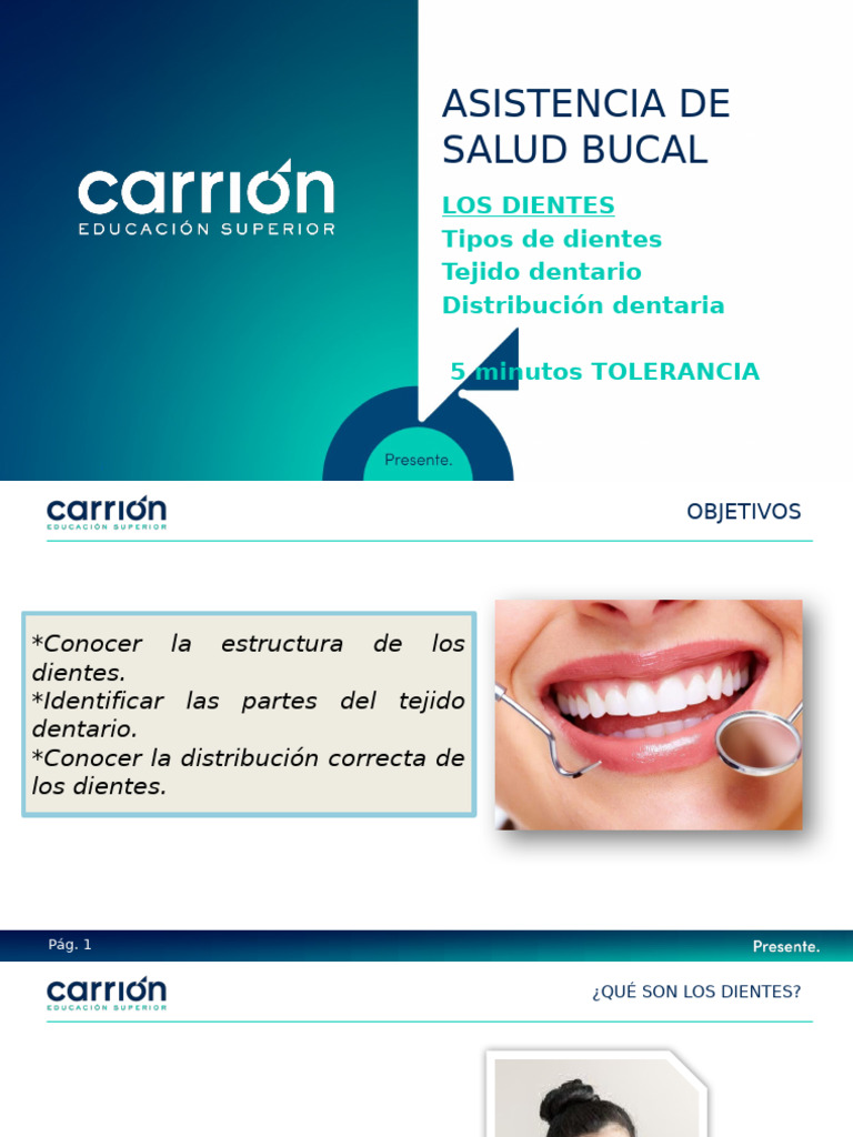 3_CLASE+Asistencia+Bucal+_CARRI%C3%93N+ | PDF | Diente | Anatomia dental