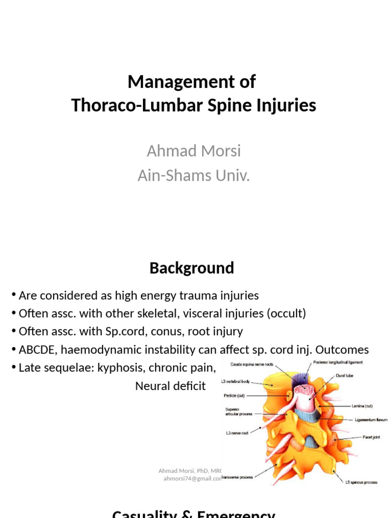 Thoraco-Lumbar Spine Injury Management | PDF | Vertebra | Spinal Cord ...