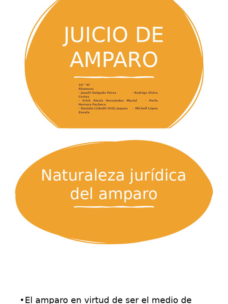 Naturaleza y Acción del Juicio de Amparo | PDF | Derecho Constitucional ...