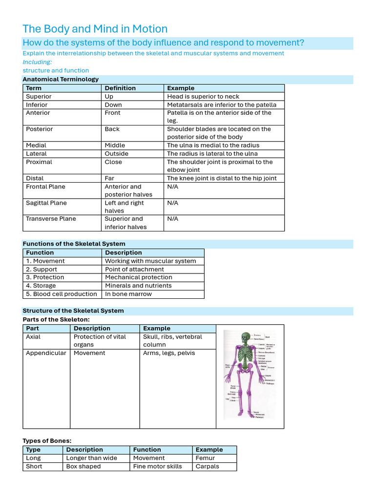 Body Systems and Movement Dynamics | PDF | Anatomical Terms Of Motion ...