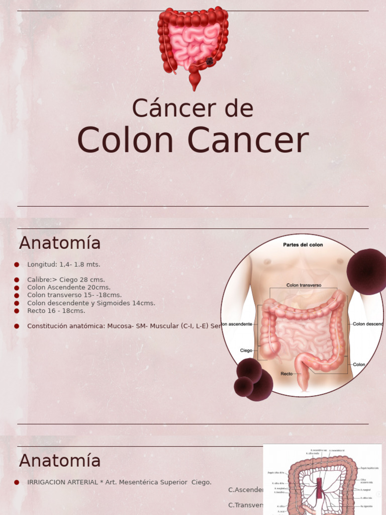 Anatomía y Epidemiología del Cáncer de Colon | PDF | Cáncer colonrectal ...