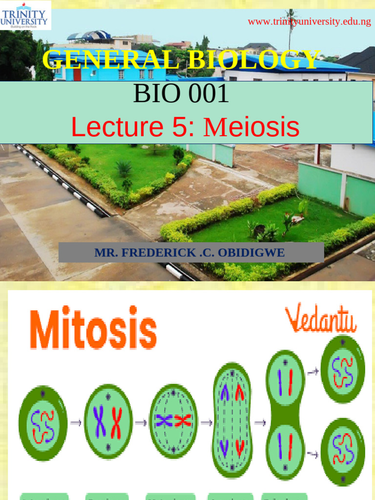Understanding Meiosis in Biology | PDF | Meiosis | Sexual Reproduction