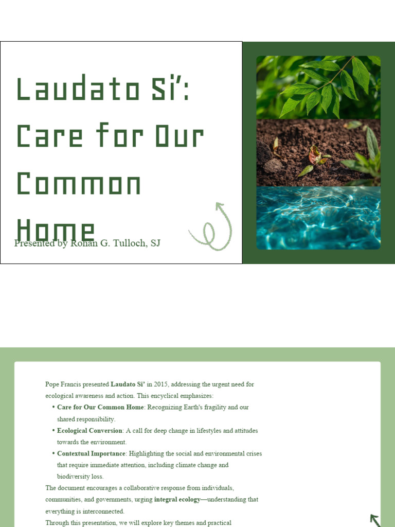 Presentation - Laudato Si' Care For Our Common Home | PDF ...