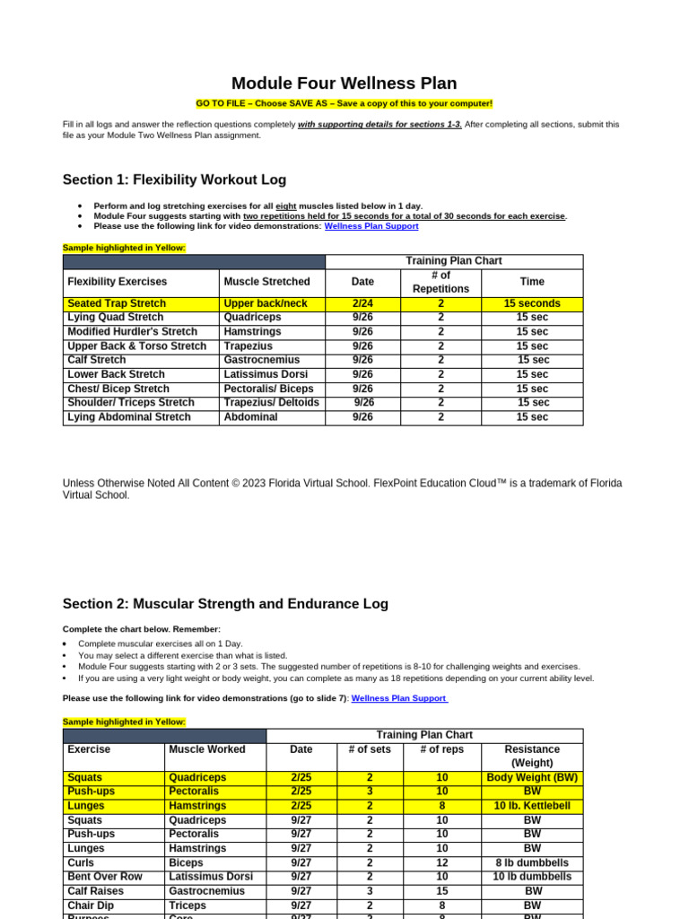 Comprehensive Wellness Plan Guide | PDF | Physical Fitness ...