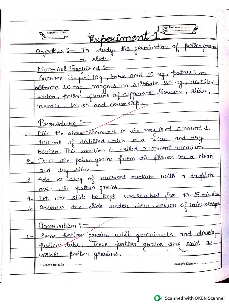 Practical Work 1 | PDF