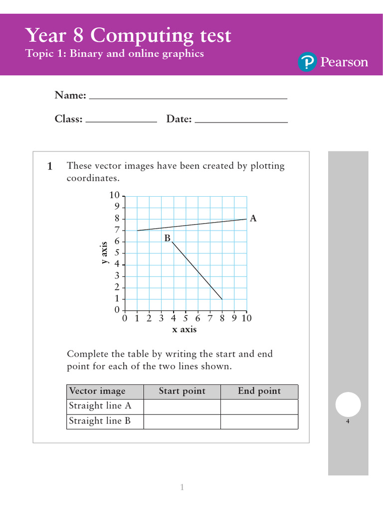 ILS Computing PT Year 8 - Binary and Online Graphics | PDF | Color | Vision